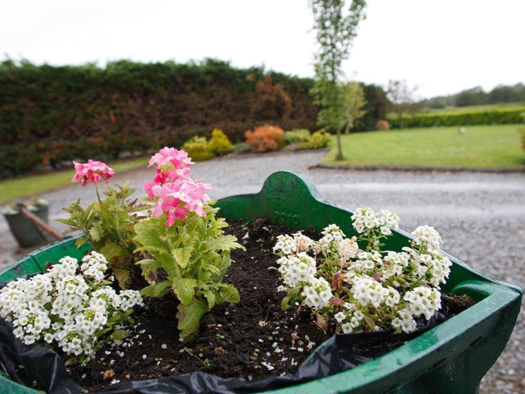 Dun Cromain B&B Banagher Dış mekan fotoğraf